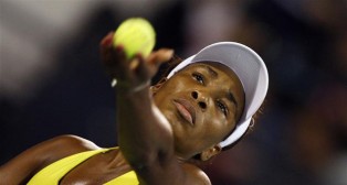 Venus vs. Victoria in Dubai