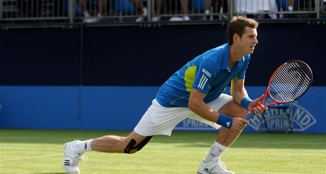 Andy Murray in action